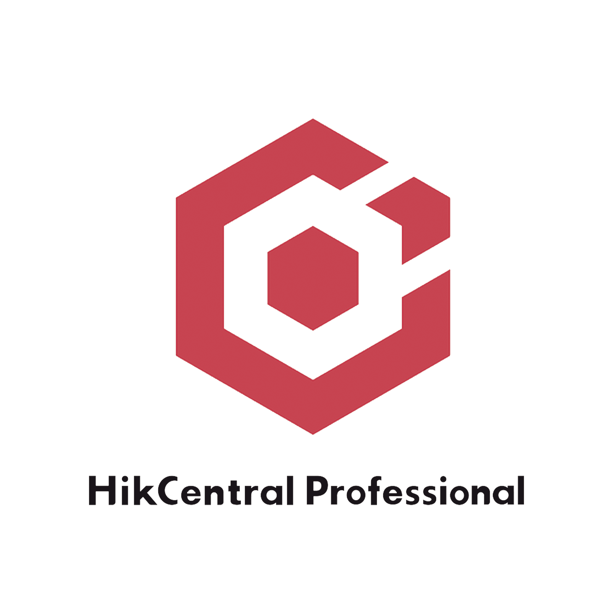 HikCentral Professional / Licencia Añade 1 Canal Adicional de Video (HikCentral-P-VSS-1Ch)