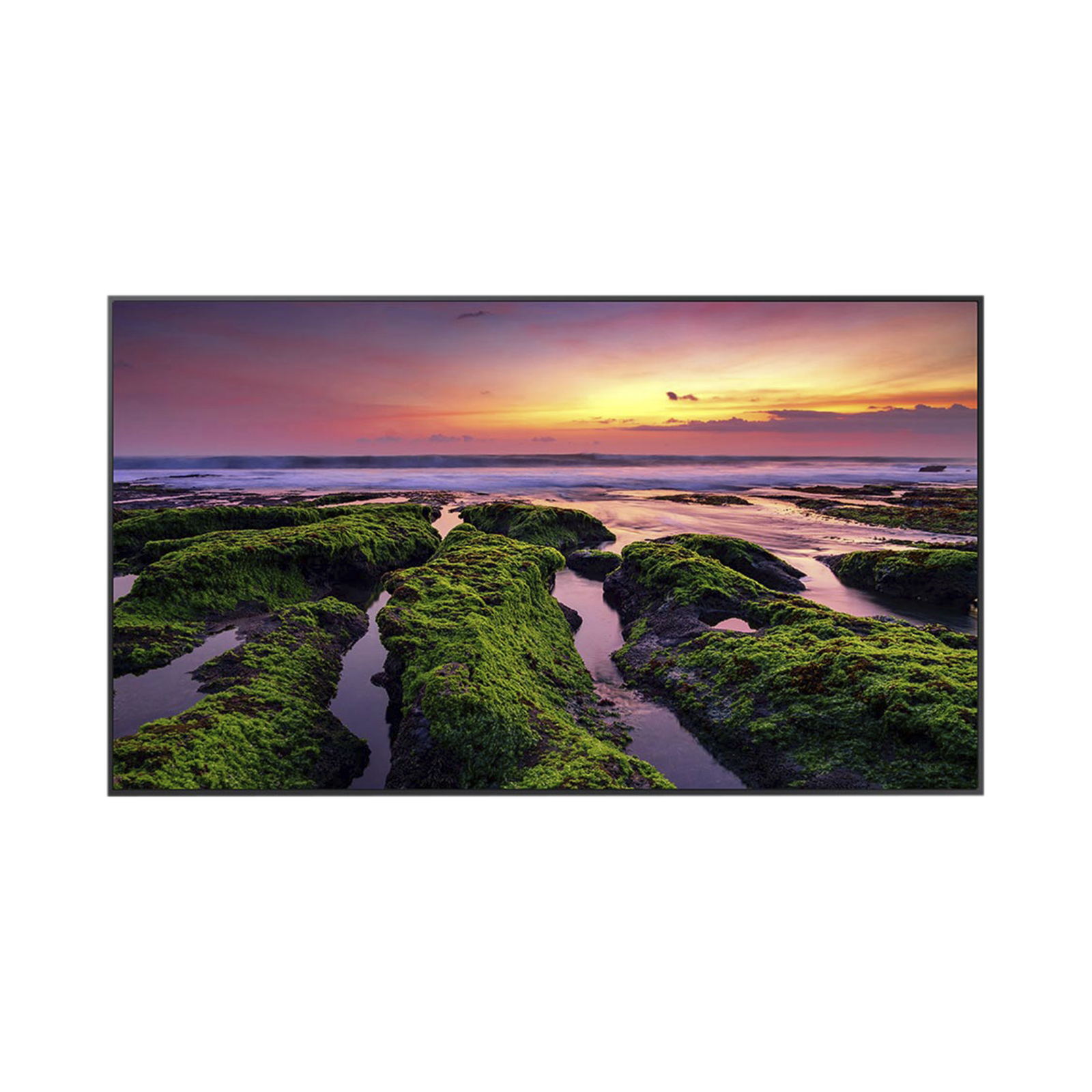 Pantalla Profesional LED de 65", UHD 4K (3840x2160p) / Entradas de Video HDM / Bocinas Integradas de 10 W. Compatible VESA / compatible con MagicInfo