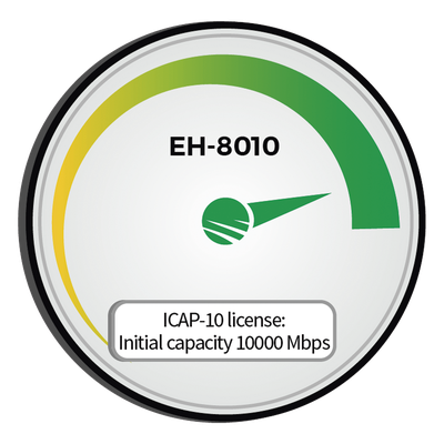 Módulo de capacidad / 10,000 Mbps (10 Gbps) / Compatible EH-8010 / Banda ancha / Integración en redes existentes