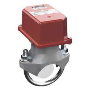 Detector de Flujo de Agua / 2 Pulgadas / Paleta con Retardo Neumático / 10 GPM / 450 PSI / 0.6 m (2 ft) Tubería